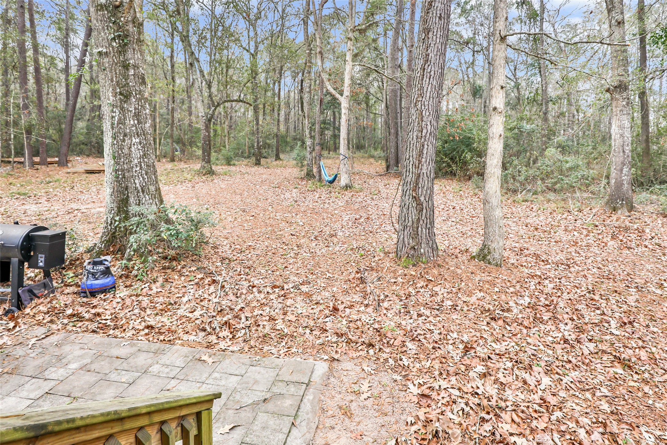 9660 Fostoria Road Cleveland, TX 77328 - Photo 13 of 31 a backyard of a house with lots of green space and trees