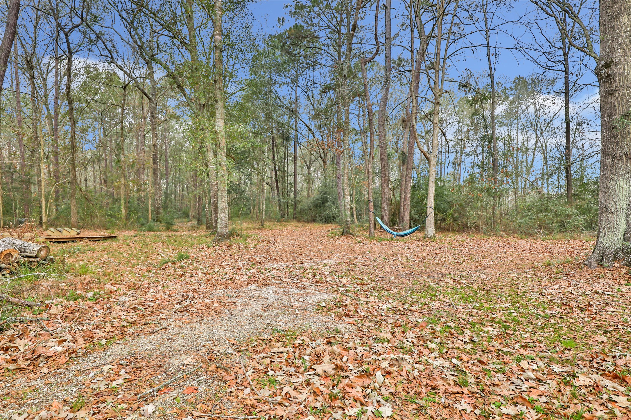 9660 Fostoria Road Cleveland, TX 77328 - Photo 10 of 31 a backyard of a house with lots of green space