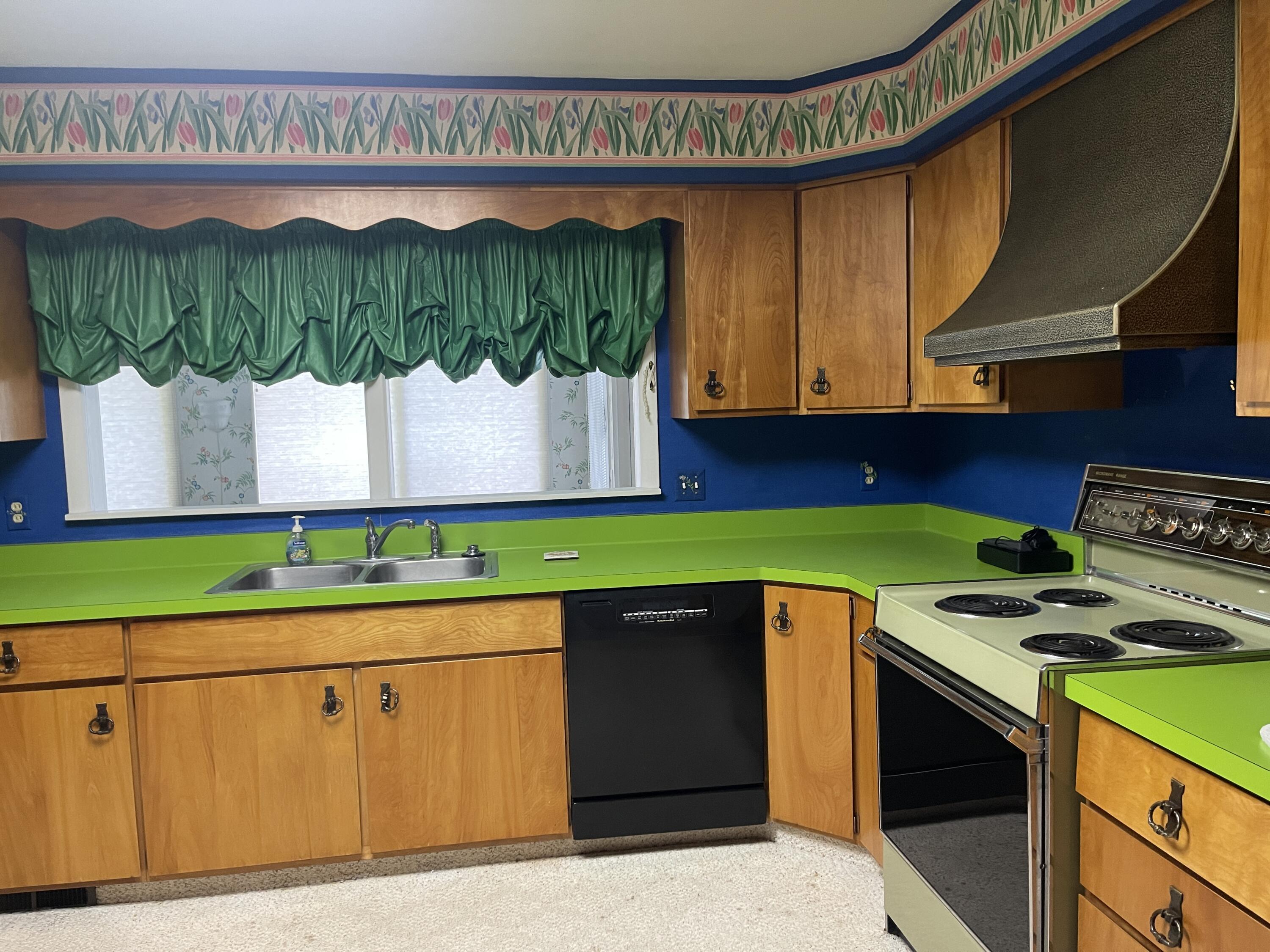 5920 Riverside Drive Jackson, MI 49201 - Photo 16 of 87 IMG_4503