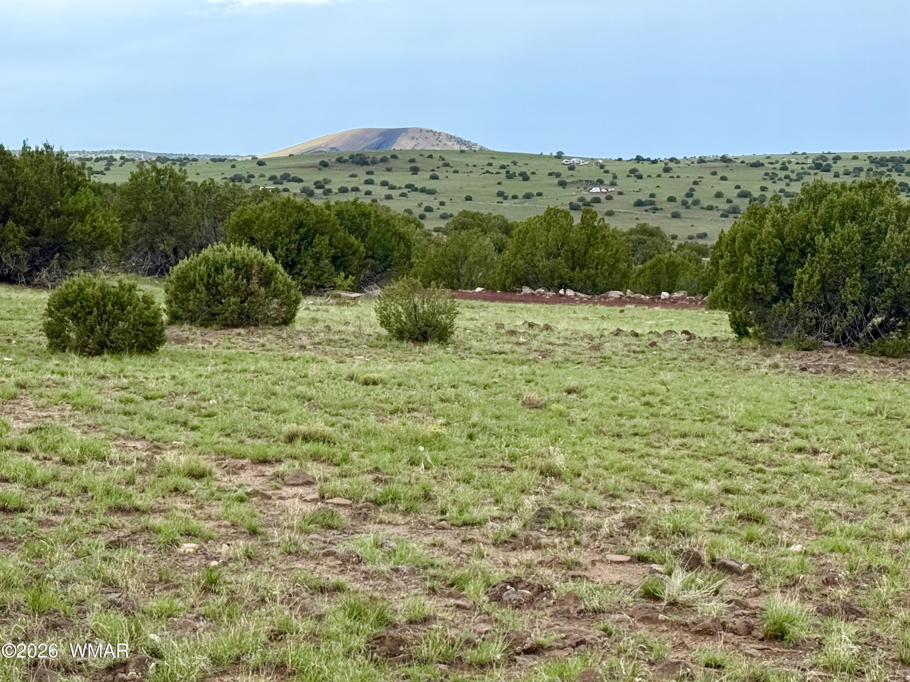 127 Co Road Concho, AZ 85924 - Photo 12 of 18 Gallery Image 12