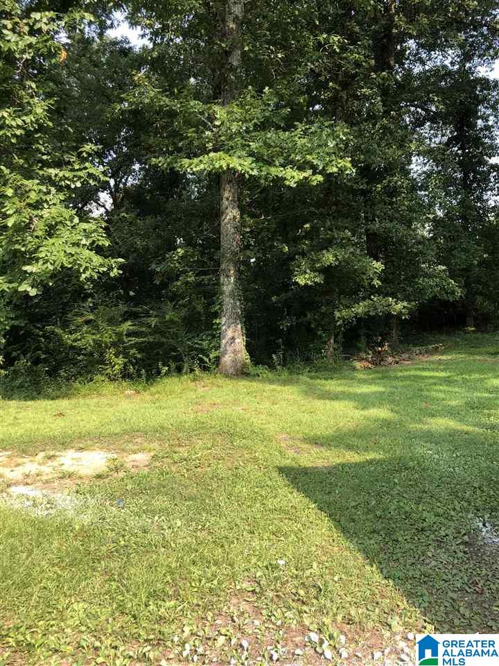 950 Westwood Road Mount Olive, AL 35117 - Photo 9 of 10