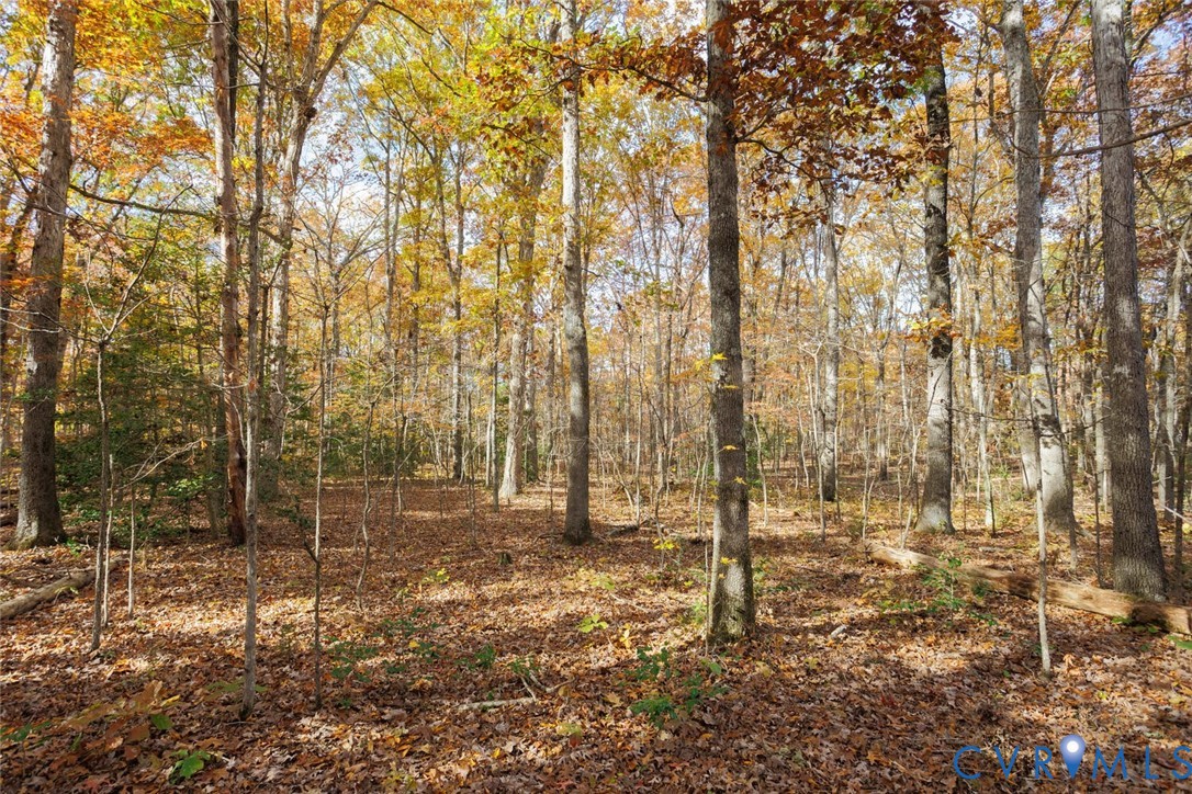 Lot 2 Maidens Road Maidens, VA 23102 - Photo 28 of 35 View of tree filled area