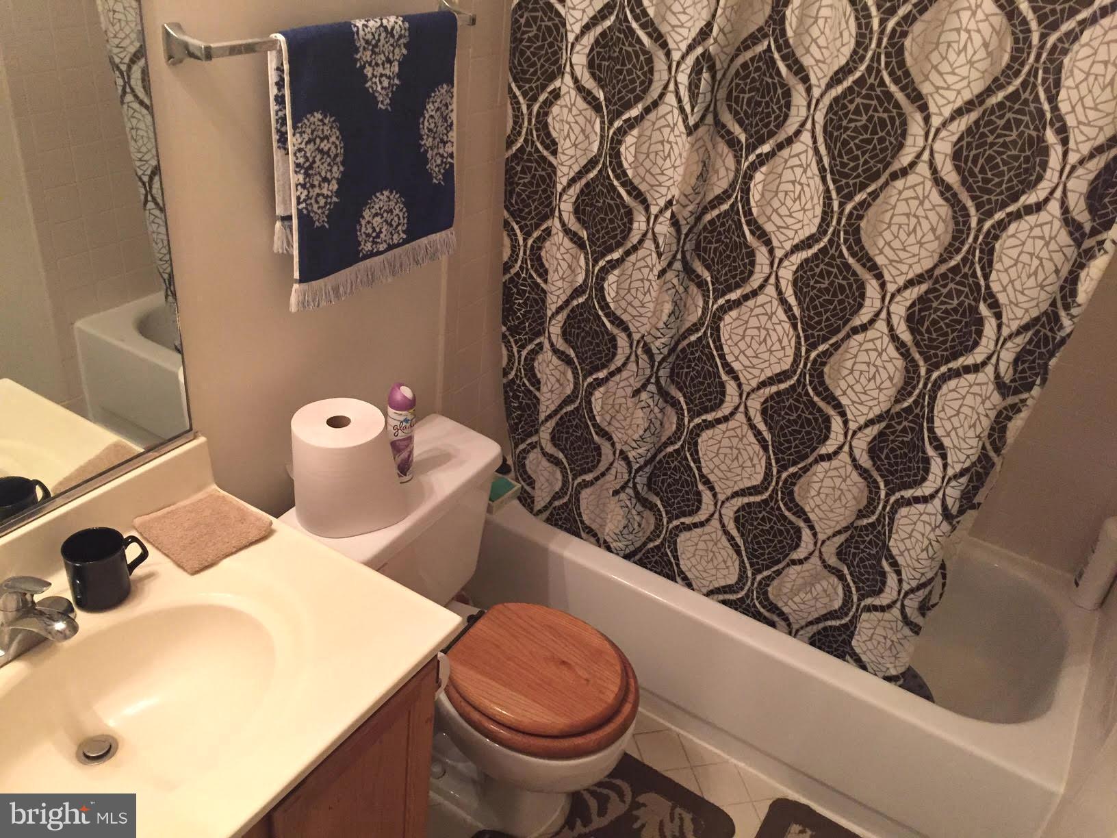 9604 Bald Hill Road Bowie, MD 20721 - Photo 23 of 27 Bath (Master)