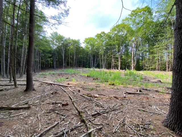 0 Iron Wood Road New Gloucester, ME 04260 - Photo 4 of 10 image3