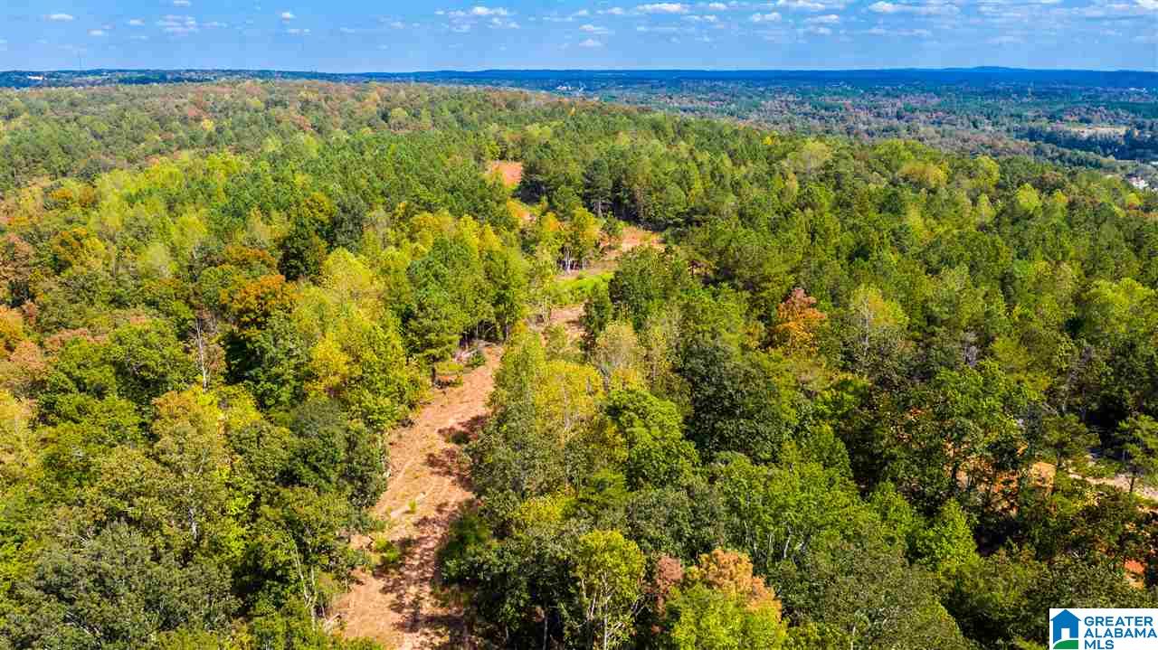 0 County Road 297 Cullman, AL 35057 - Photo 15 of 48