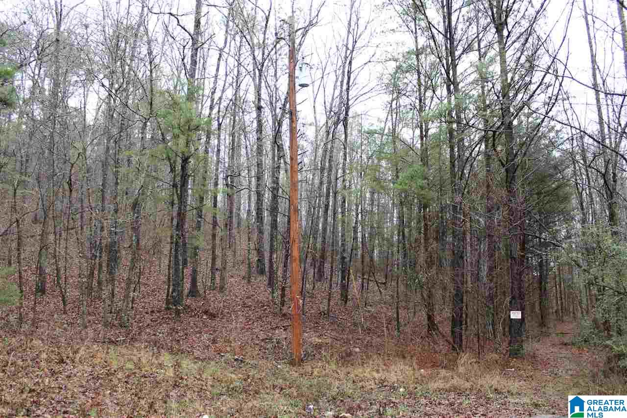 0 Fitzgerald Road Oxford, AL 36203 - Photo 30 of 44