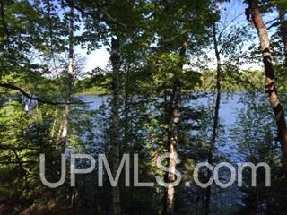 Tbd Maggie Point Road, Unit 11E Crystal Falls, MI 49920 - Photo 5 of 13