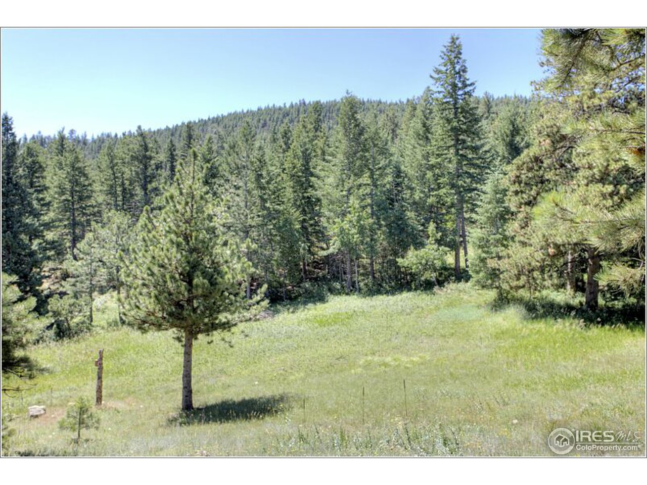 853 Deer Trail Road Boulder, CO 80302 - Photo 14 of 22 a view of a yard with a tree