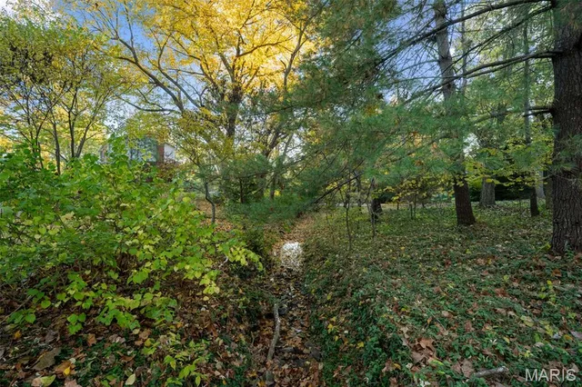 $1,200,000 | 29 A Chapel Hill Estates Drive, Town and Country, MO 63131