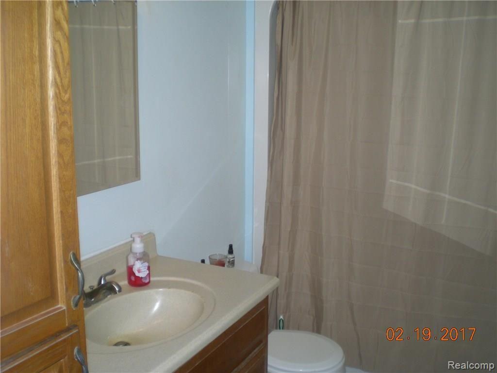14262 Wanty Road Milan, MI 48160 - Photo 11 of 12 bath.JPG