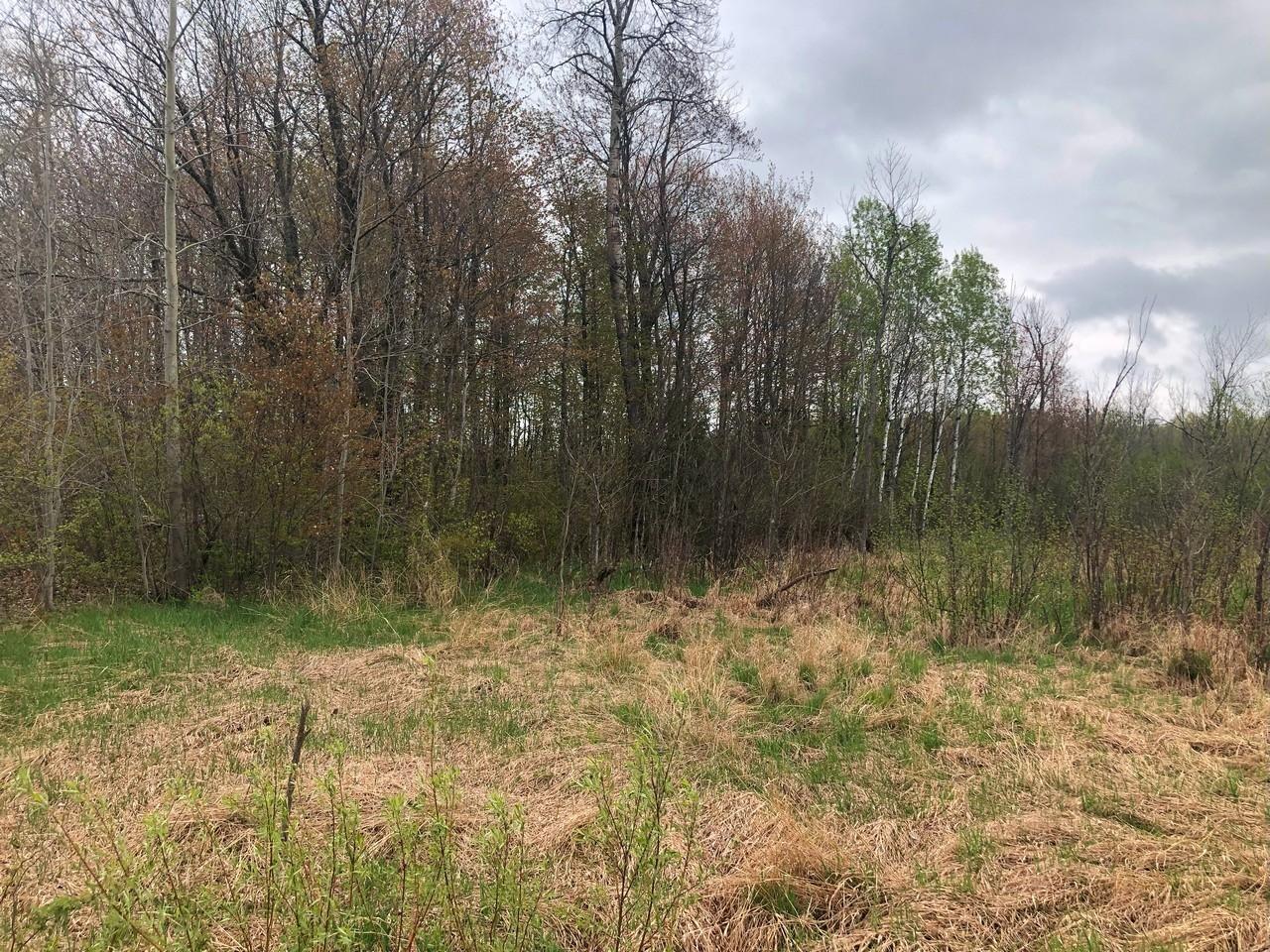 14287 Clement Road Saxon, WI 54559 - Photo 11 of 29 Gallery Image 11
