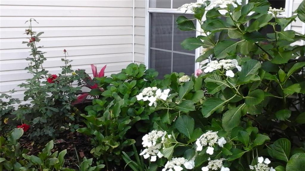 724 Rue Marseille Mandeville, LA 70471 - Photo 5 of 25 Gallery Image 5