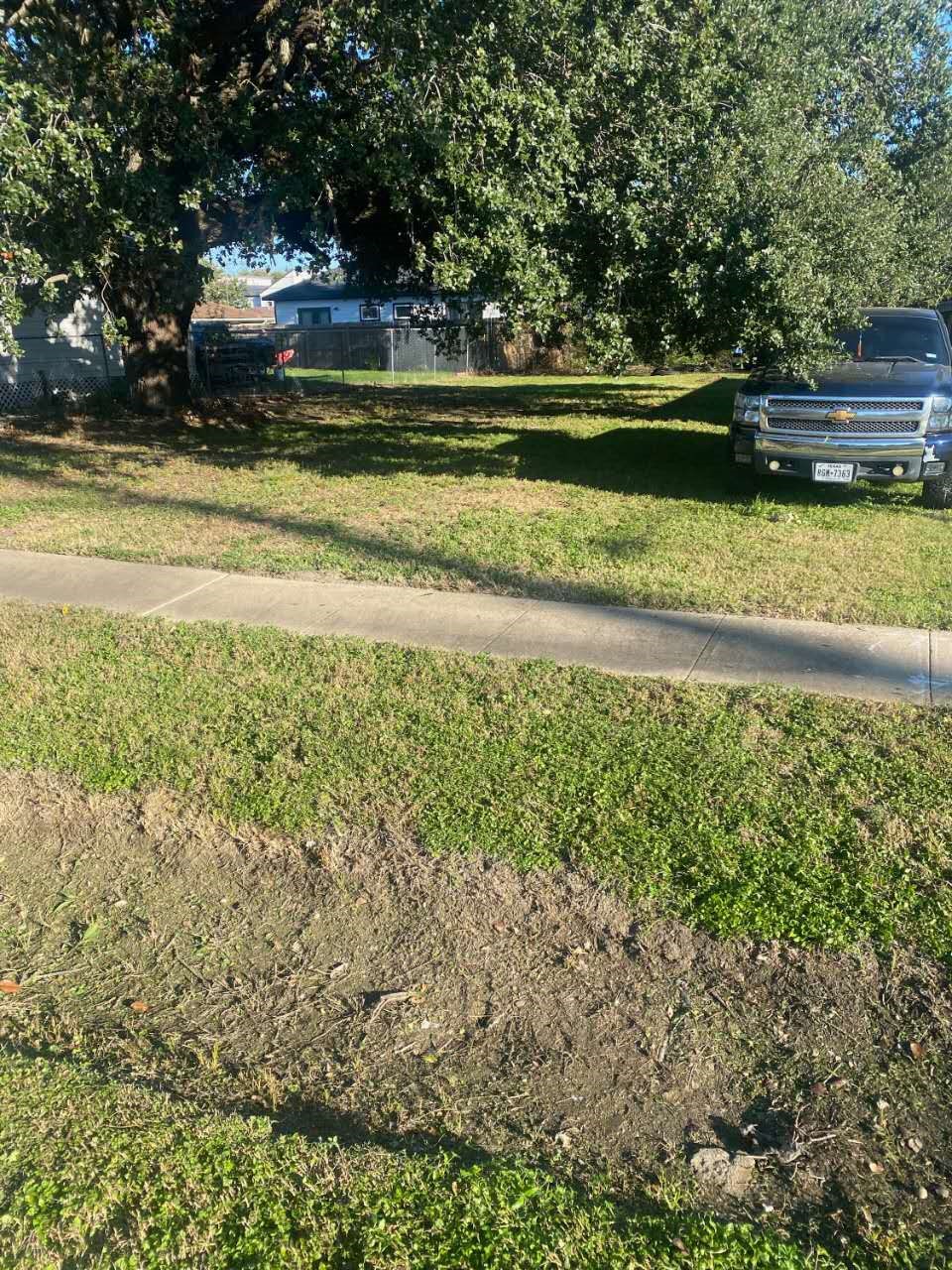 3557 Corder Street Houston, TX 77021 - Photo 2 of 3 a view of swimming pool with a yard and large trees
