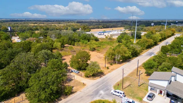 a view of a garden with plants
