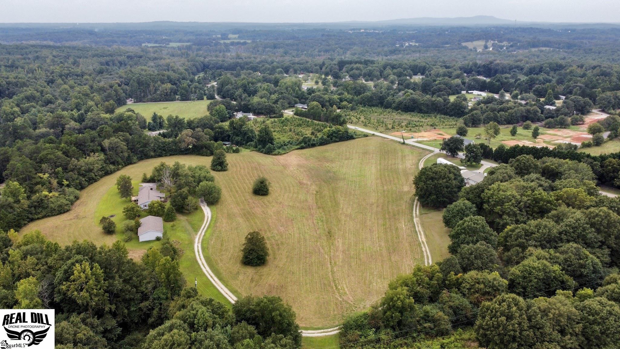 2901 Mt Lebanon Road Campobello, SC 29322 - Photo 4 of 6
