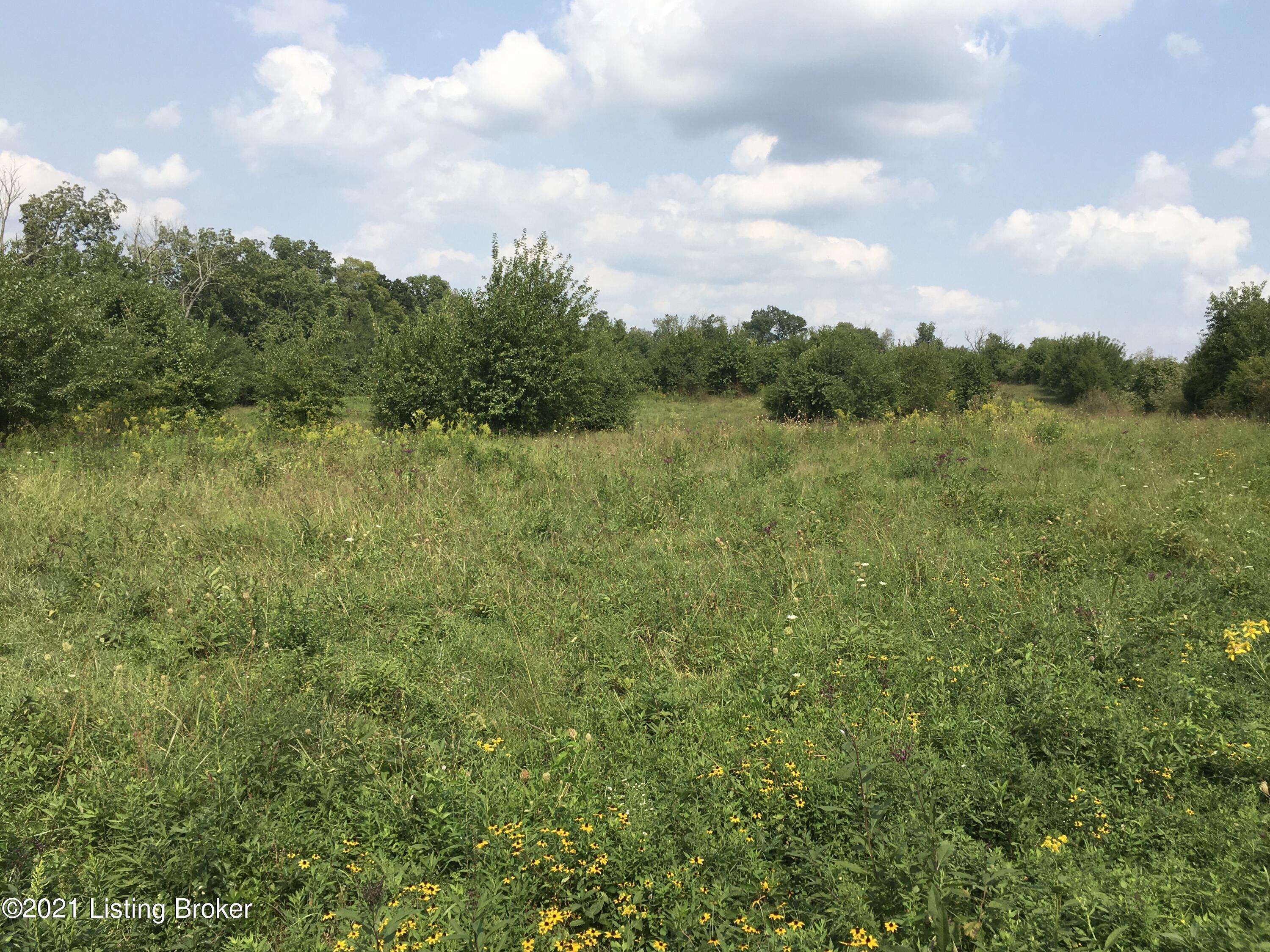 0 Smithfield Road Smithfield, KY 40068 - Photo 23 of 41 E34A748B-26A6-4110-A4CD-869B09FD3E67