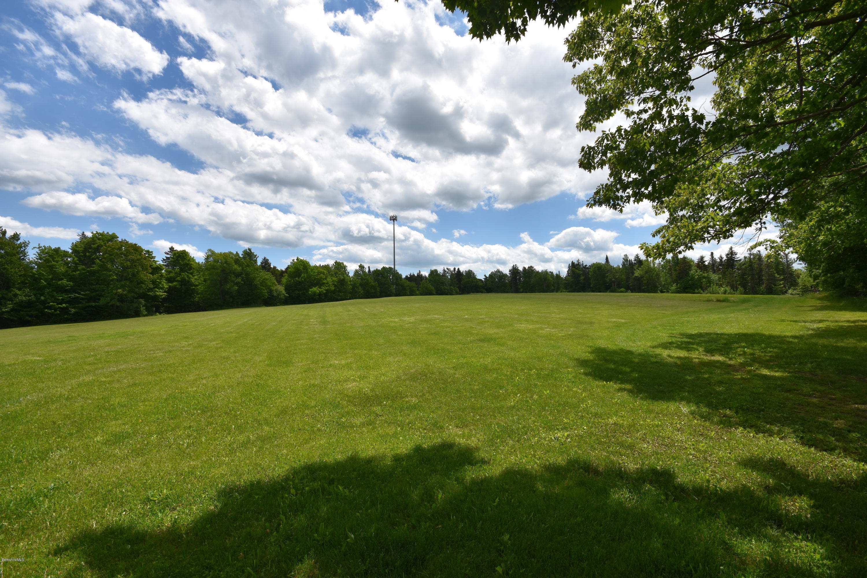 205 Windsor Road Savoy, MA 01256 - Photo 50 of 53 a view of a big yard with plants and large tree