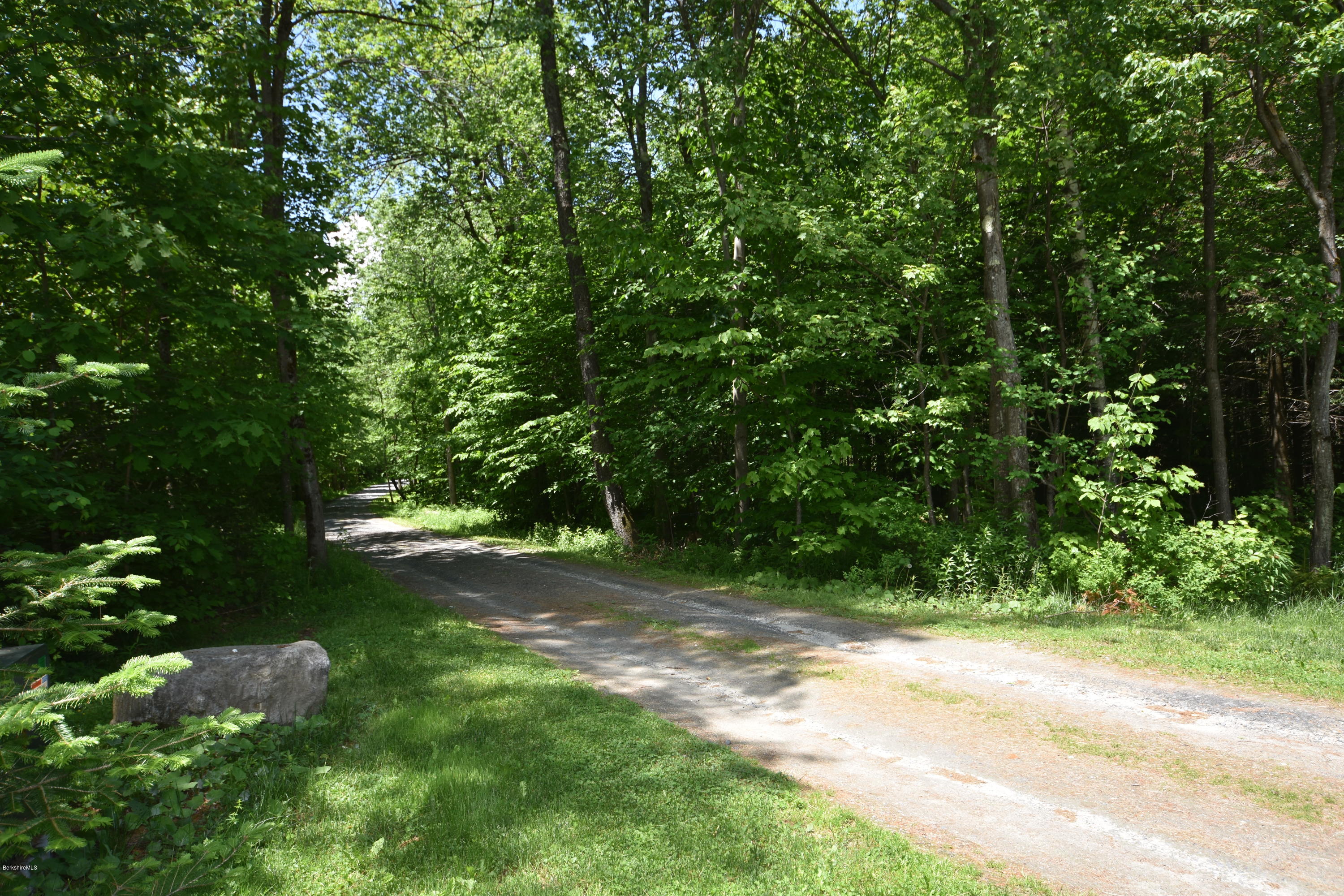 205 Windsor Road Savoy, MA 01256 - Photo 53 of 53 a view of backyard with green space