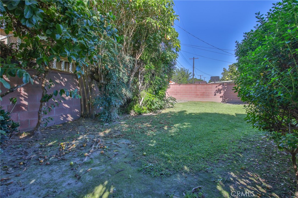 15719 Pitts Avenue Paramount, CA 90723 - Photo 27 of 33 a view of a yard with plants and a trees