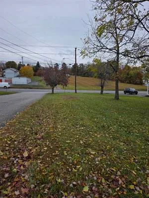 a view of a field with large trees