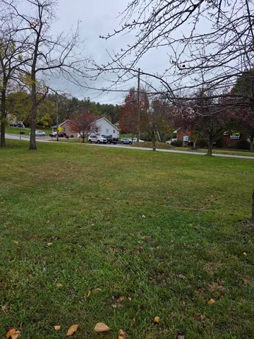 a view of outdoor space with green field and trees
