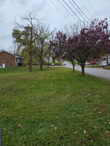 a big yard with flowing stream of water in middle