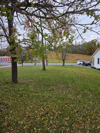 a view of yard with tree