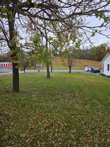 a view of yard with tree