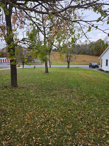 a tree in the middle of a yard