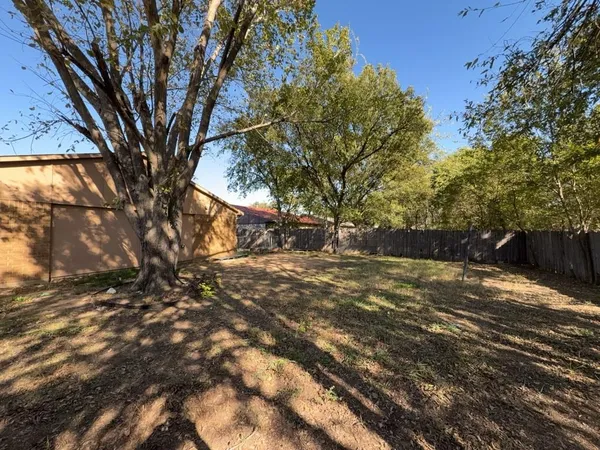 a view of a yard with plants and trees
