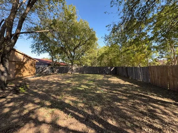 a view of backyard with tree