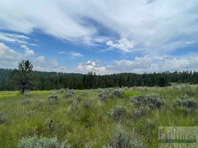 Lot 153 Lynx Trail Reed Point, MT 59069 - Photo 1 of 1 Gallery Image 1