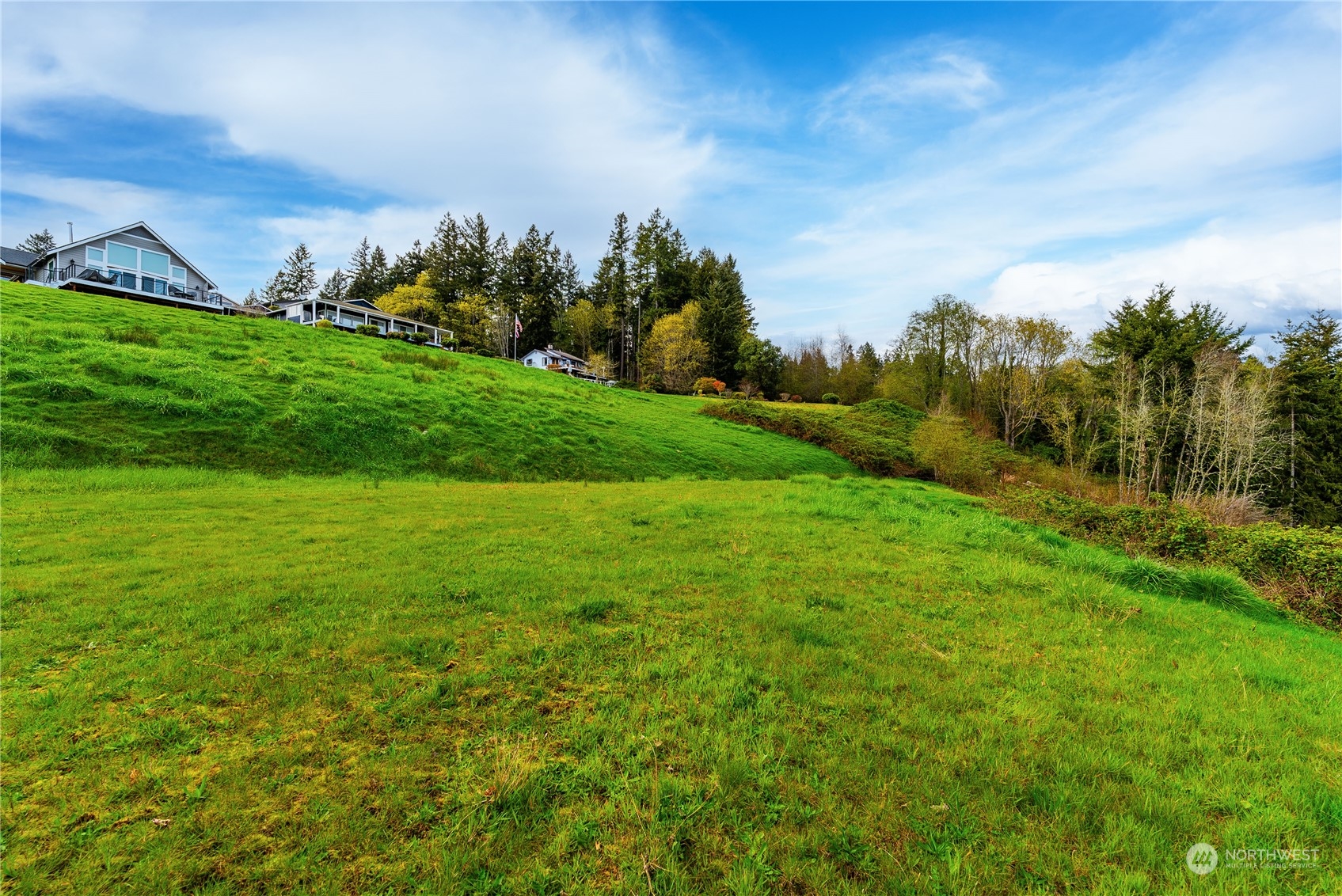 9214 163rd Avenue Southwest Longbranch, WA 98351 - Photo 15 of 31 a view of a big yard with potted plants and large tree