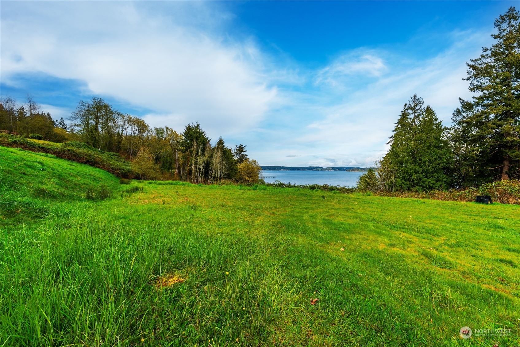 9214 163rd Avenue Southwest Longbranch, WA 98351 - Photo 22 of 31 a yard with lots of green space