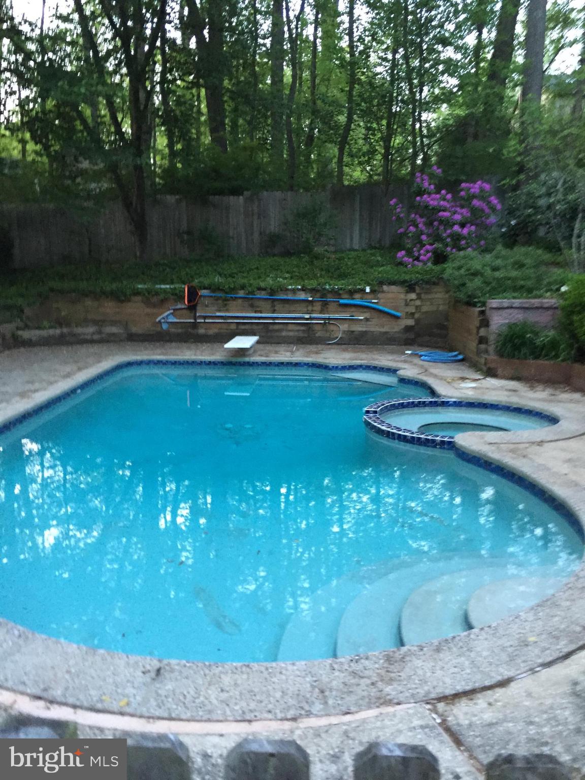 625 Upper Weadley Road Wayne, PA 19087 - Photo 25 of 25 Pool in summer