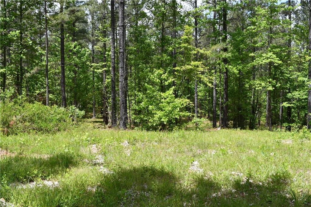 1 Wilson Road Temple, GA 30179 - Photo 52 of 88