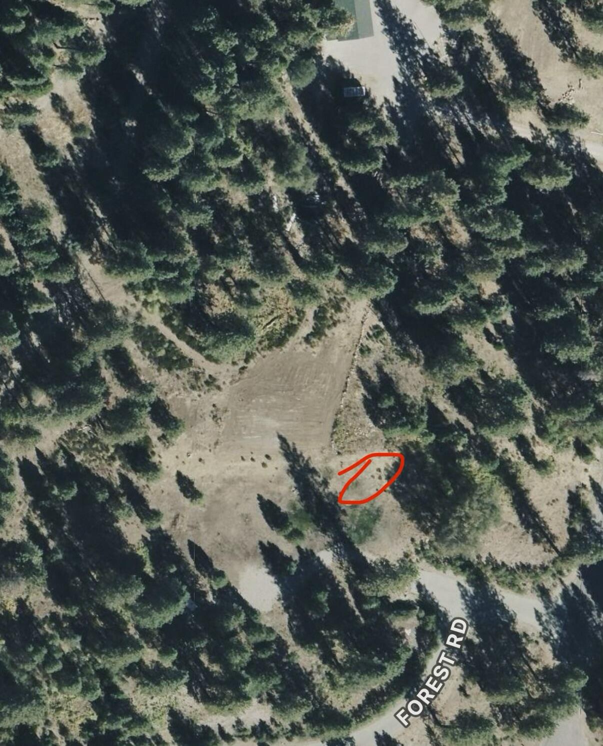 0 Forest Road McCloud, CA 96057 - Photo 11 of 11 IMG_4390