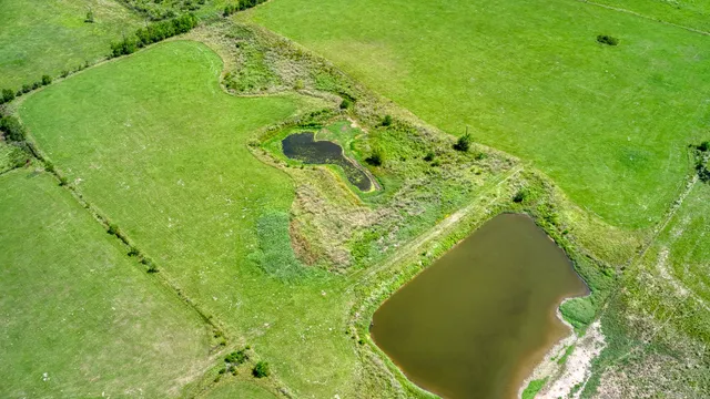 $960,882 | 24594 Fm 362 Road, Waller, TX 77484