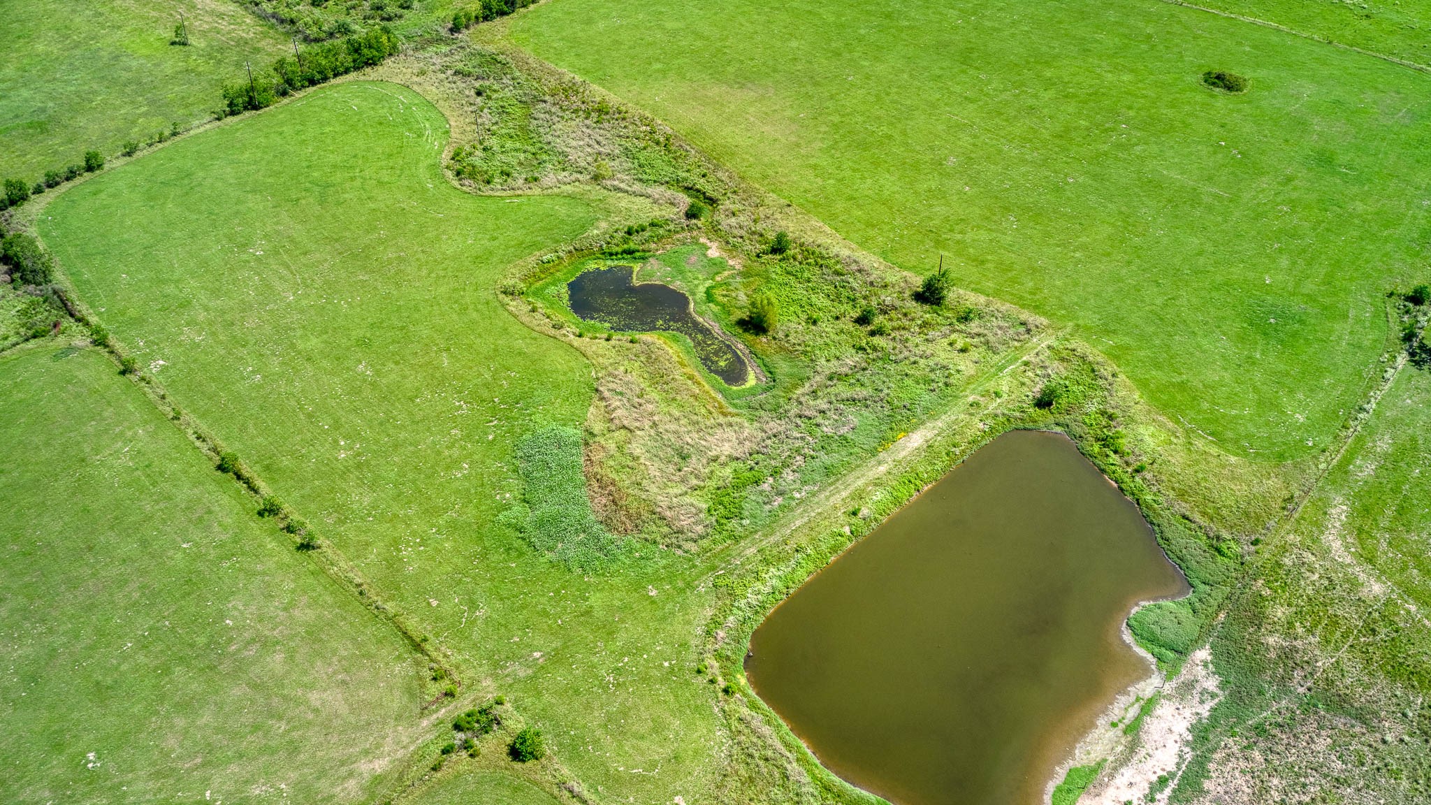 24594 Fm 362 Road Waller, TX 77484 - Photo 13 of 23