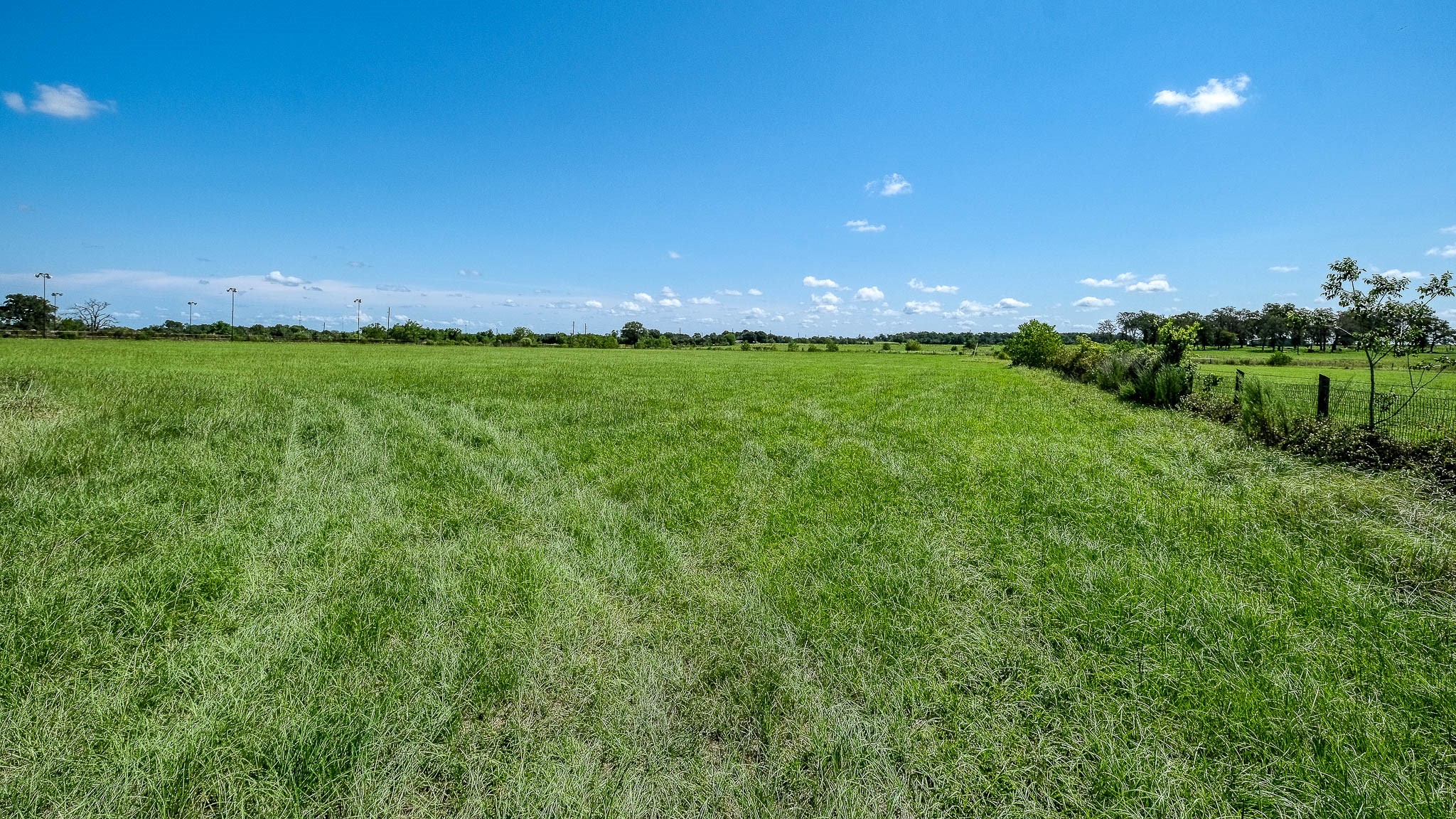 24594 Fm 362 Road Waller, TX 77484 - Photo 16 of 23