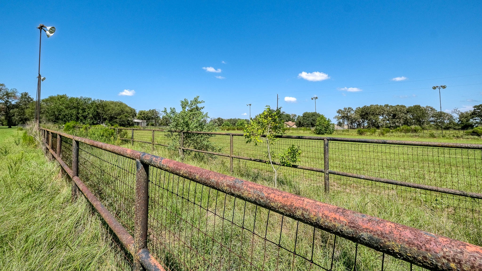 24594 Fm 362 Road Waller, TX 77484 - Photo 19 of 23