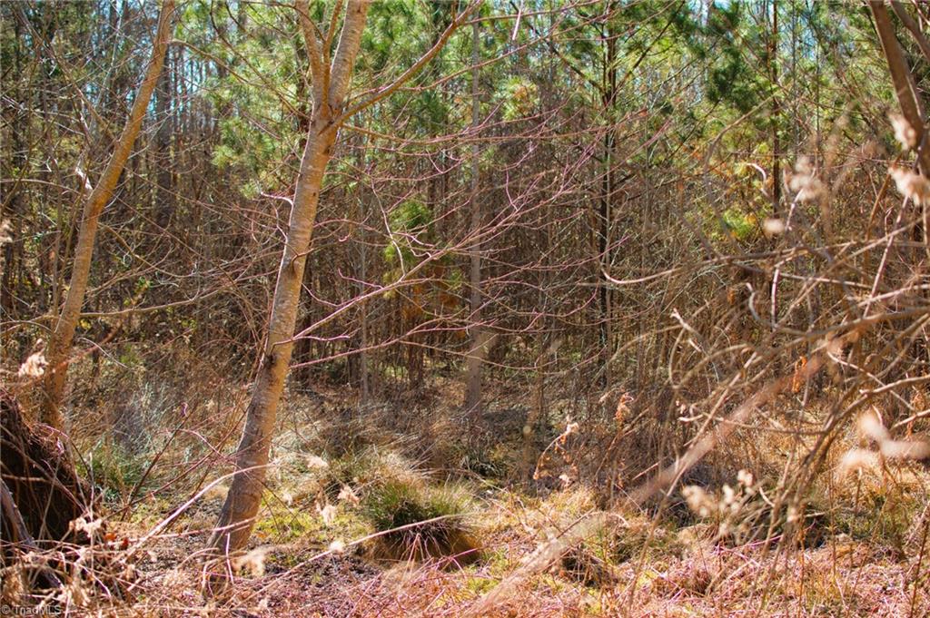 0 Twinwood Drive Trinity, NC 27370 - Photo 12 of 17