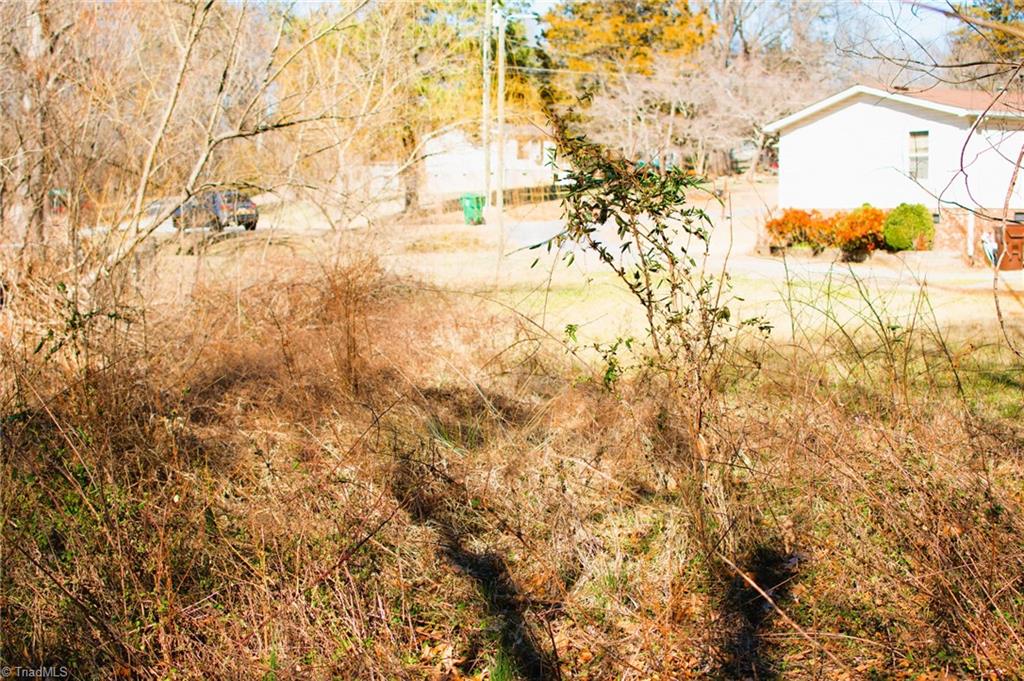 0 Twinwood Drive Trinity, NC 27370 - Photo 13 of 17