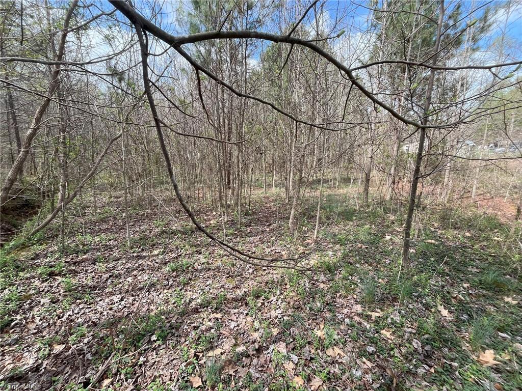 0 Twinwood Drive Trinity, NC 27370 - Photo 8 of 17