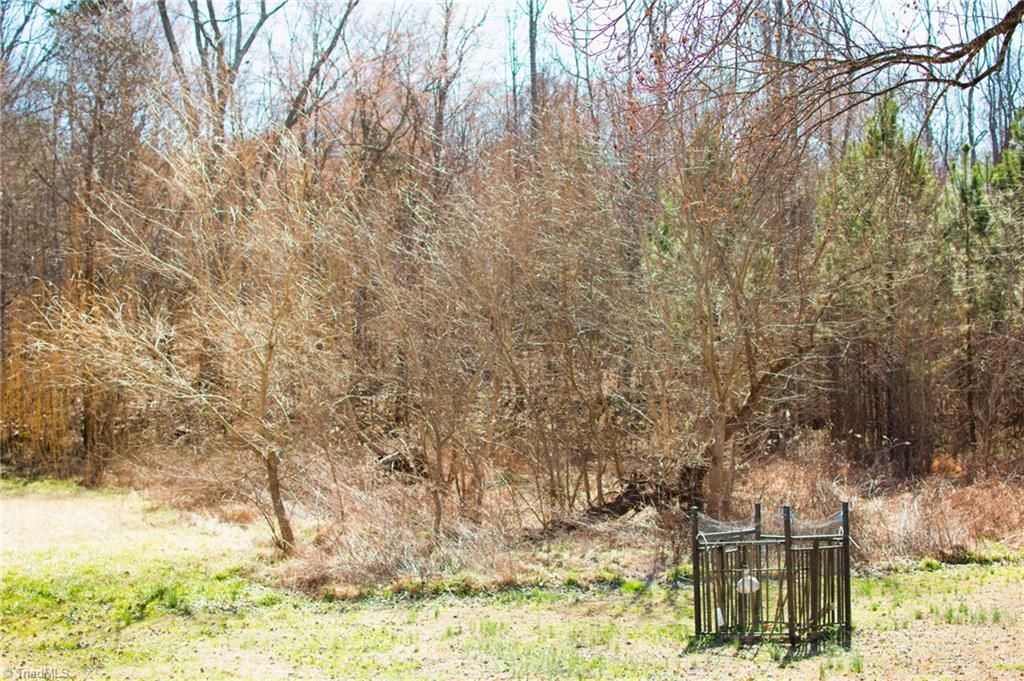 0 Twinwood Drive Trinity, NC 27370 - Photo 9 of 17