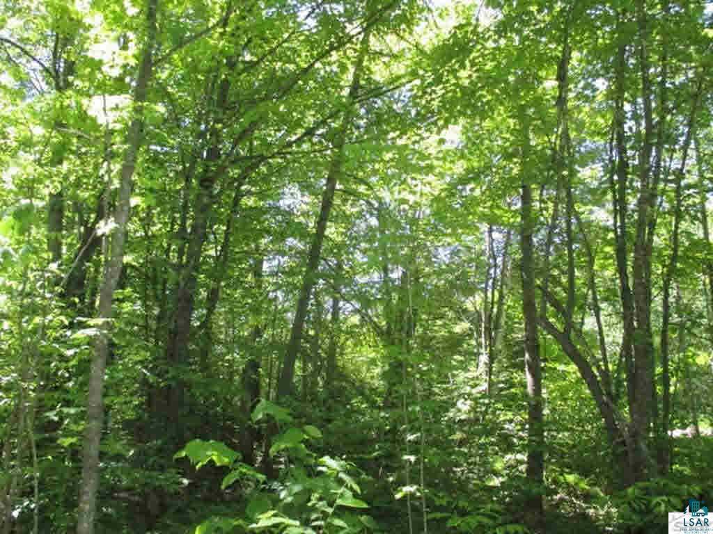 Compton Road Bayfield, WI 54814 - Photo 1 of 16 Gallery Image 1