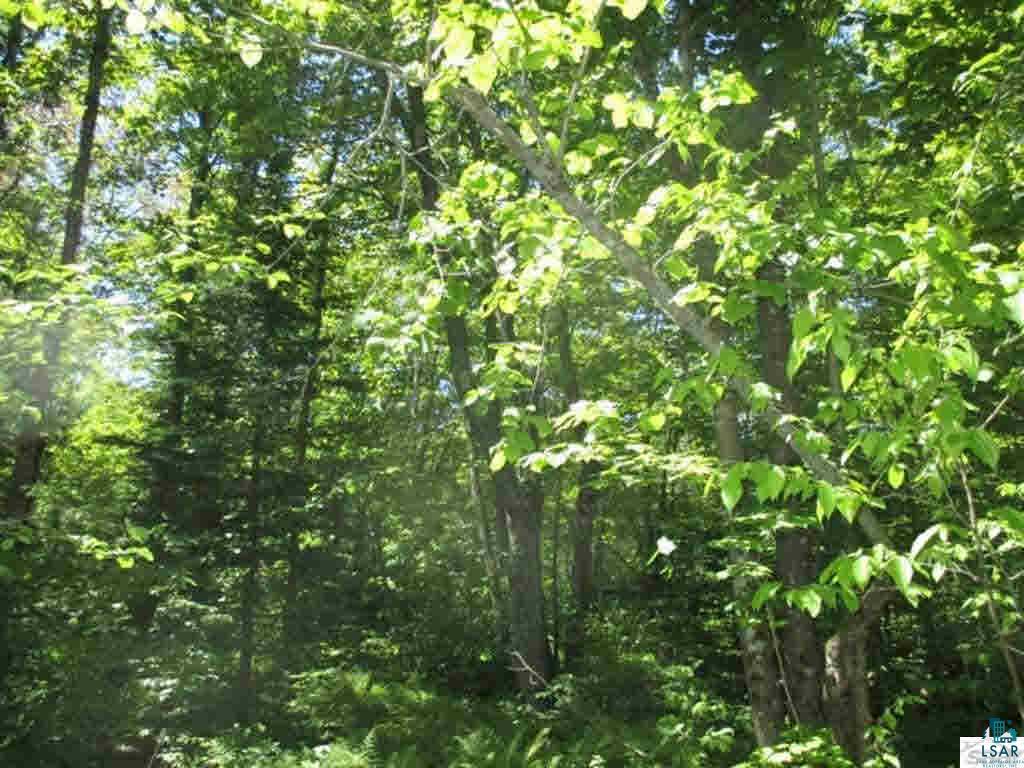 Compton Road Bayfield, WI 54814 - Photo 11 of 16 Gallery Image 11