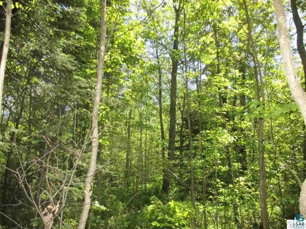 Compton Road Bayfield, WI 54814 - Photo 12 of 16 Gallery Image 12