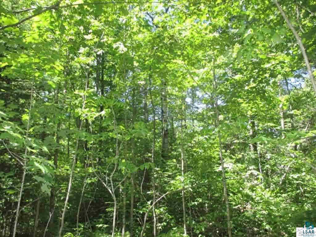 Compton Road Bayfield, WI 54814 - Photo 13 of 16 Gallery Image 13