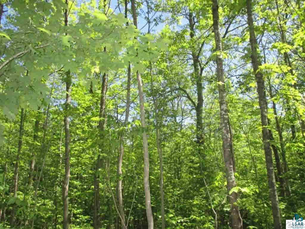 Compton Road Bayfield, WI 54814 - Photo 14 of 16 Gallery Image 14